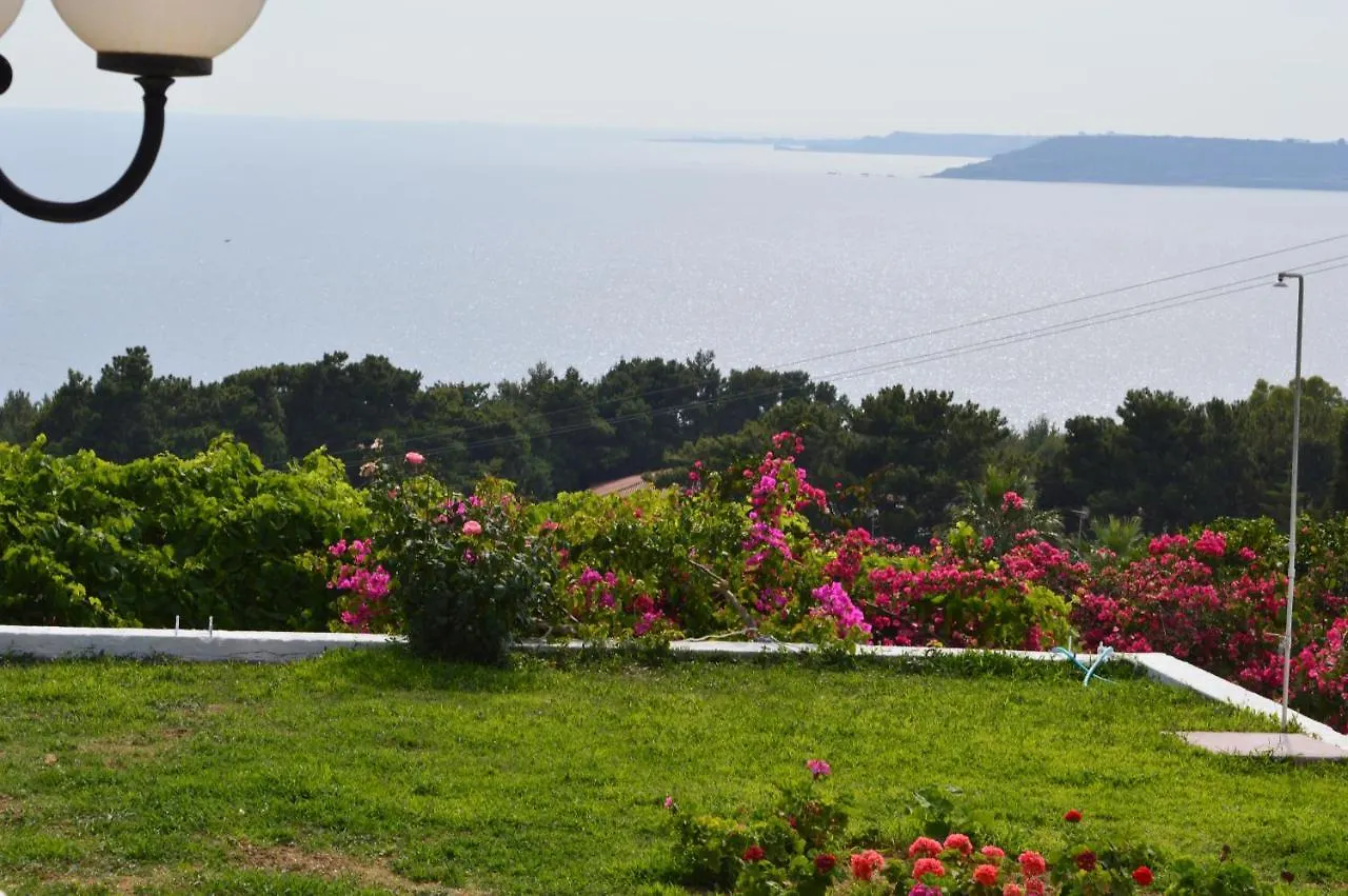 Mediterranean Studios Lassi  Lassi (Kefalonia)